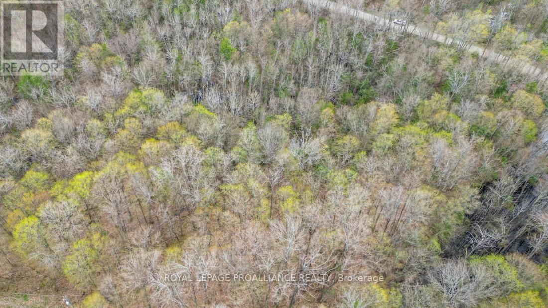 00 AUSTRIS ROAD Image 13