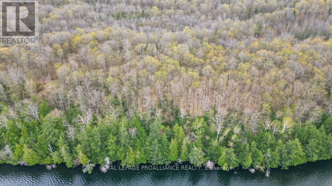 00 AUSTRIS ROAD Image 16