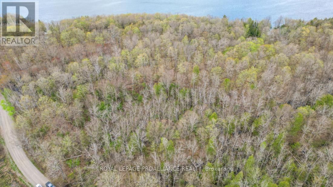 00 AUSTRIS ROAD Image 9