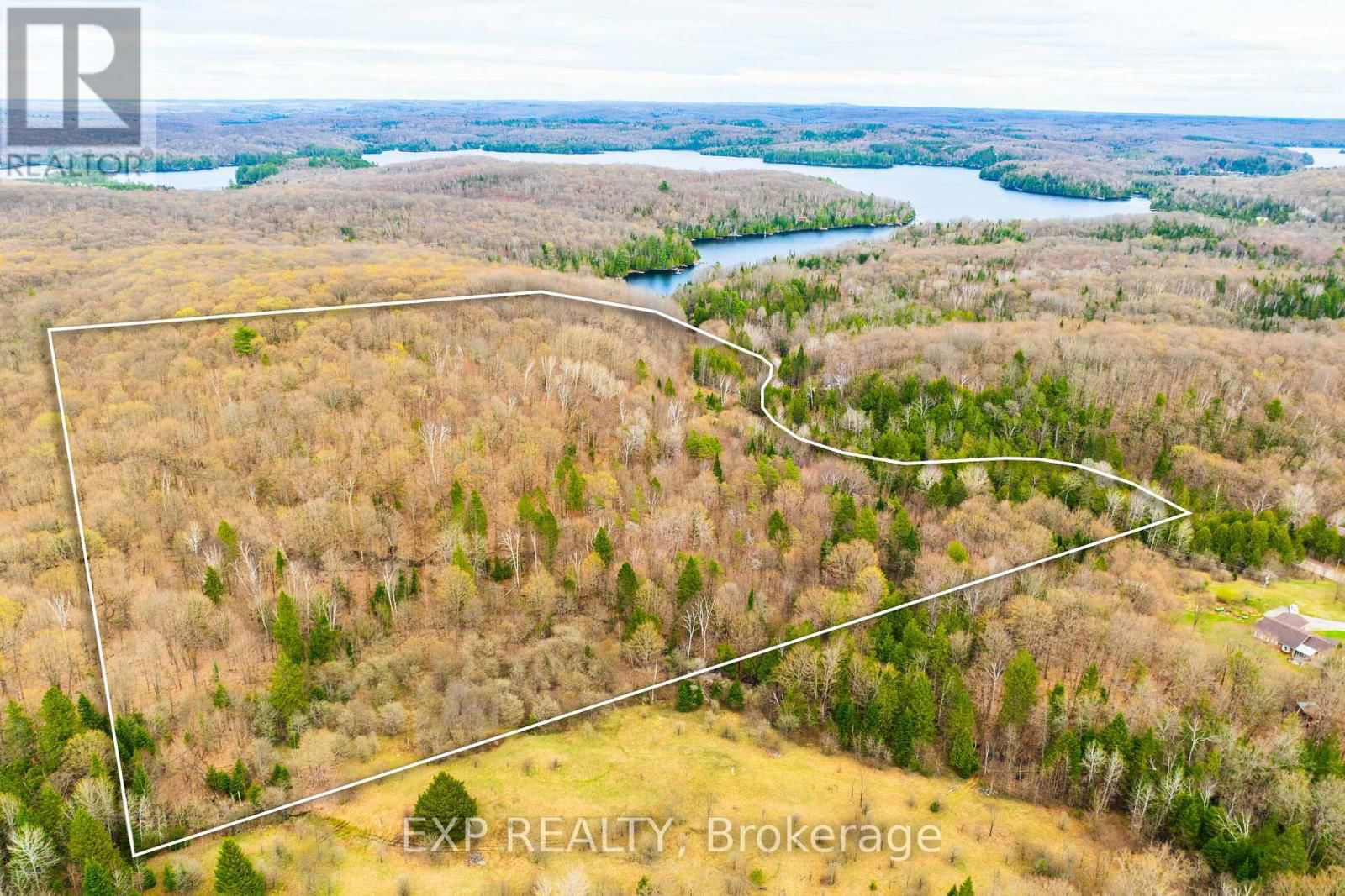 Primary Property View