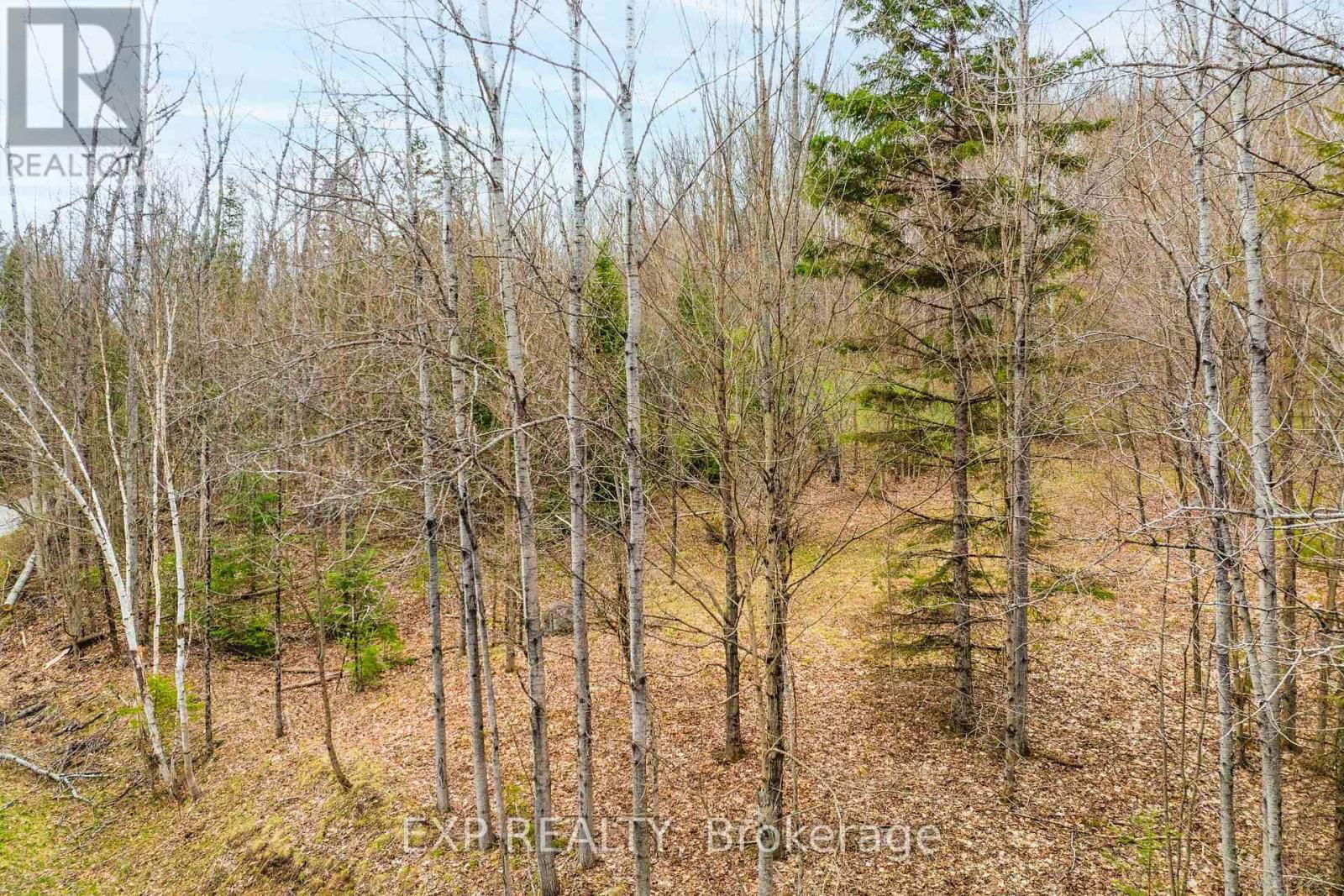 0 BLAIRHAMPTON ROAD Image 14