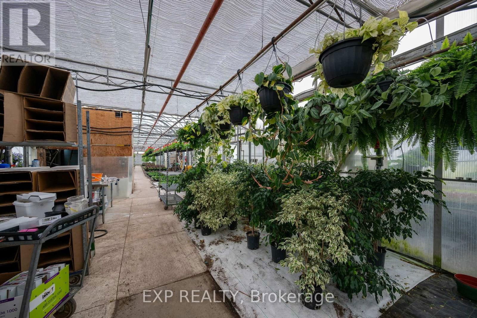 3862 TRAFALGAR STREET Image 13
