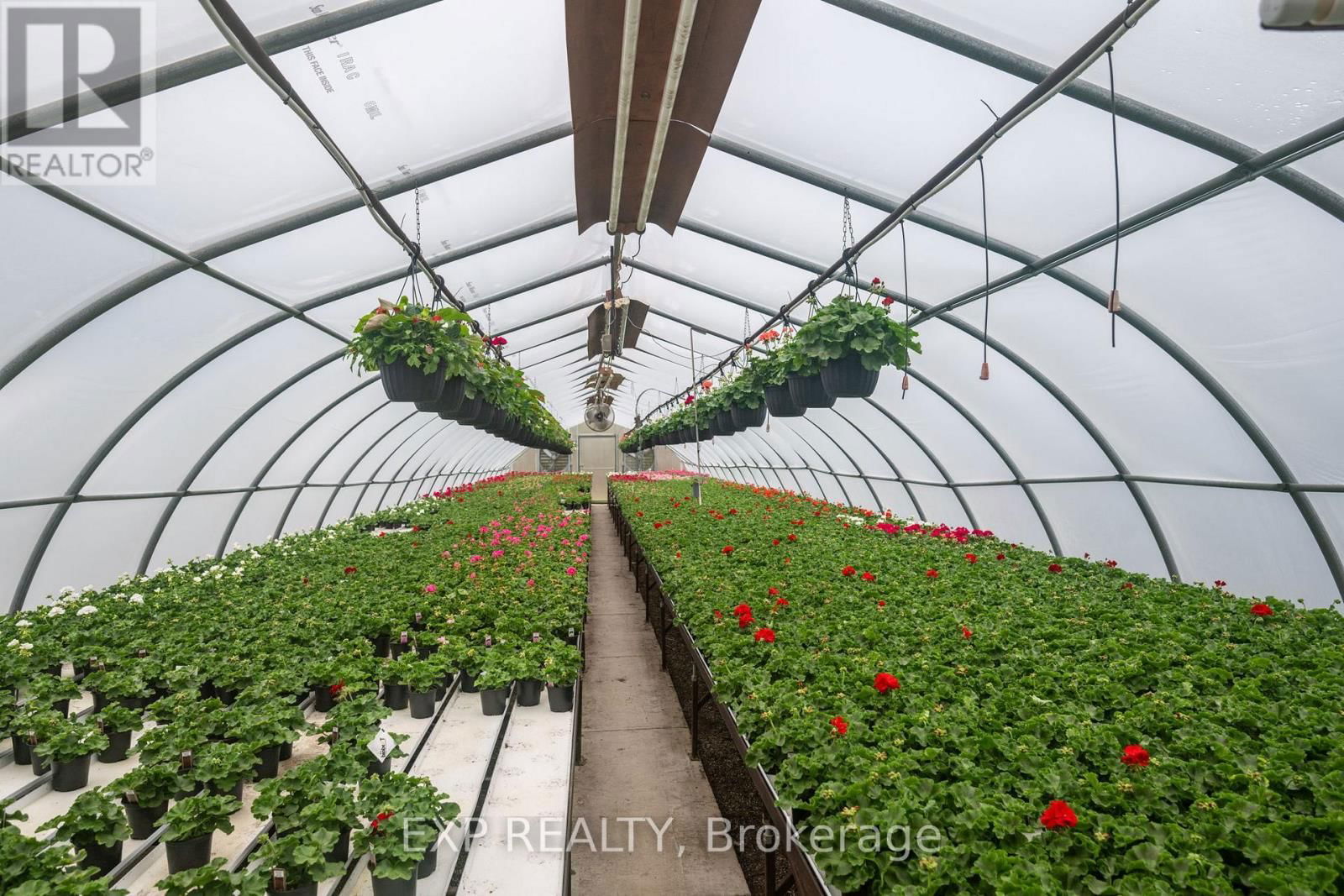 3862 TRAFALGAR STREET Image 16