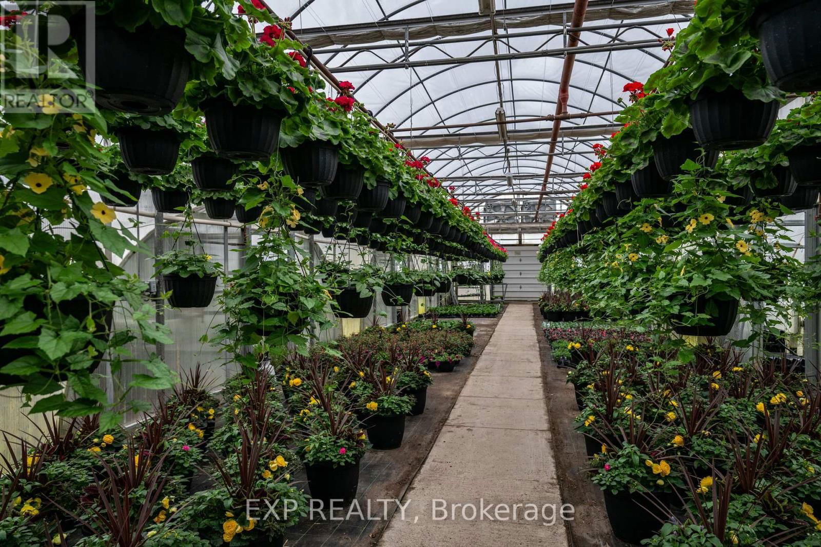 3862 TRAFALGAR STREET Image 17