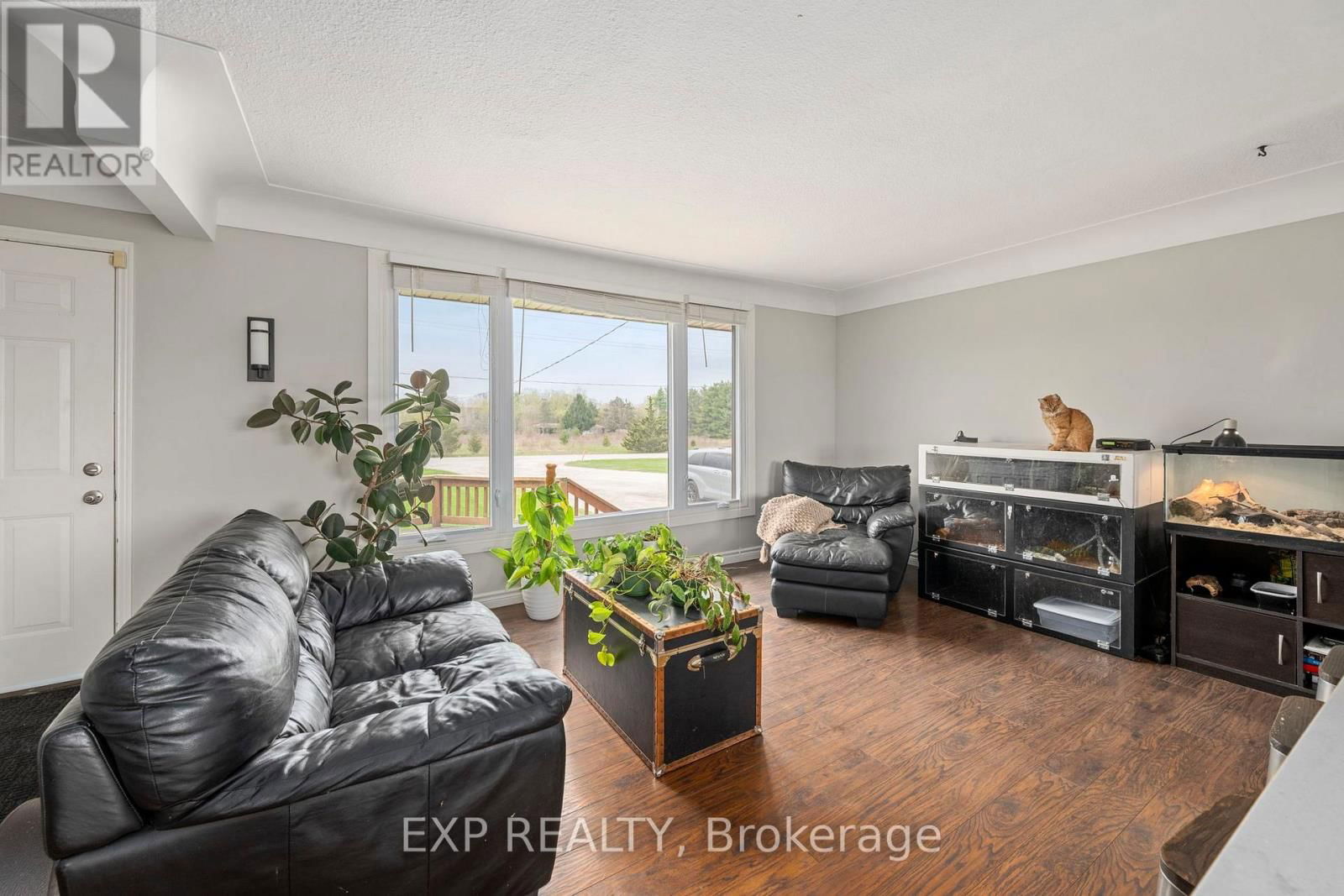 3862 TRAFALGAR STREET Image 26