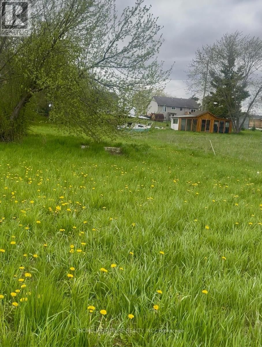 Primary Property View