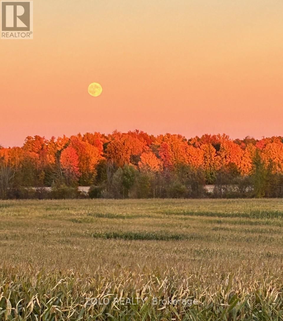 2659 RIVER ROAD Image 39