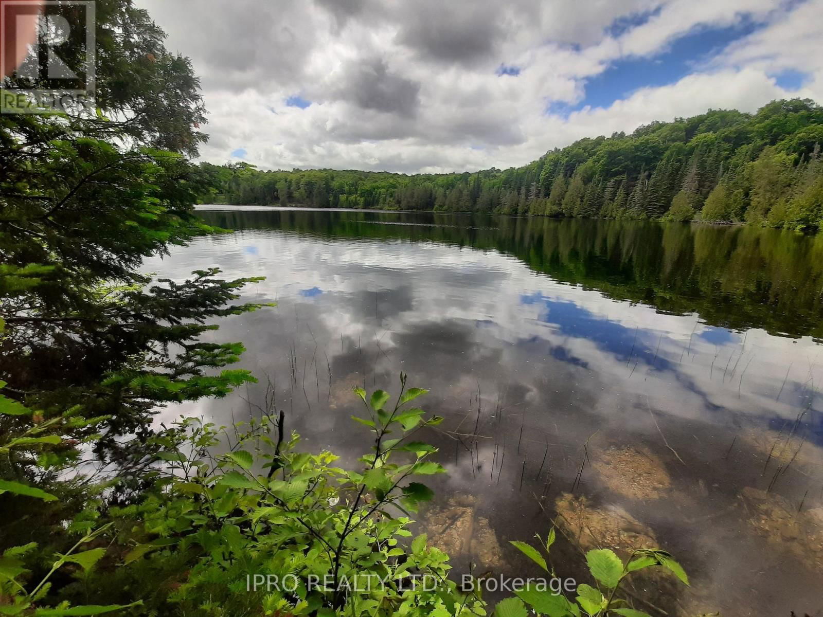 6447 OPEONGO ROAD Image 1