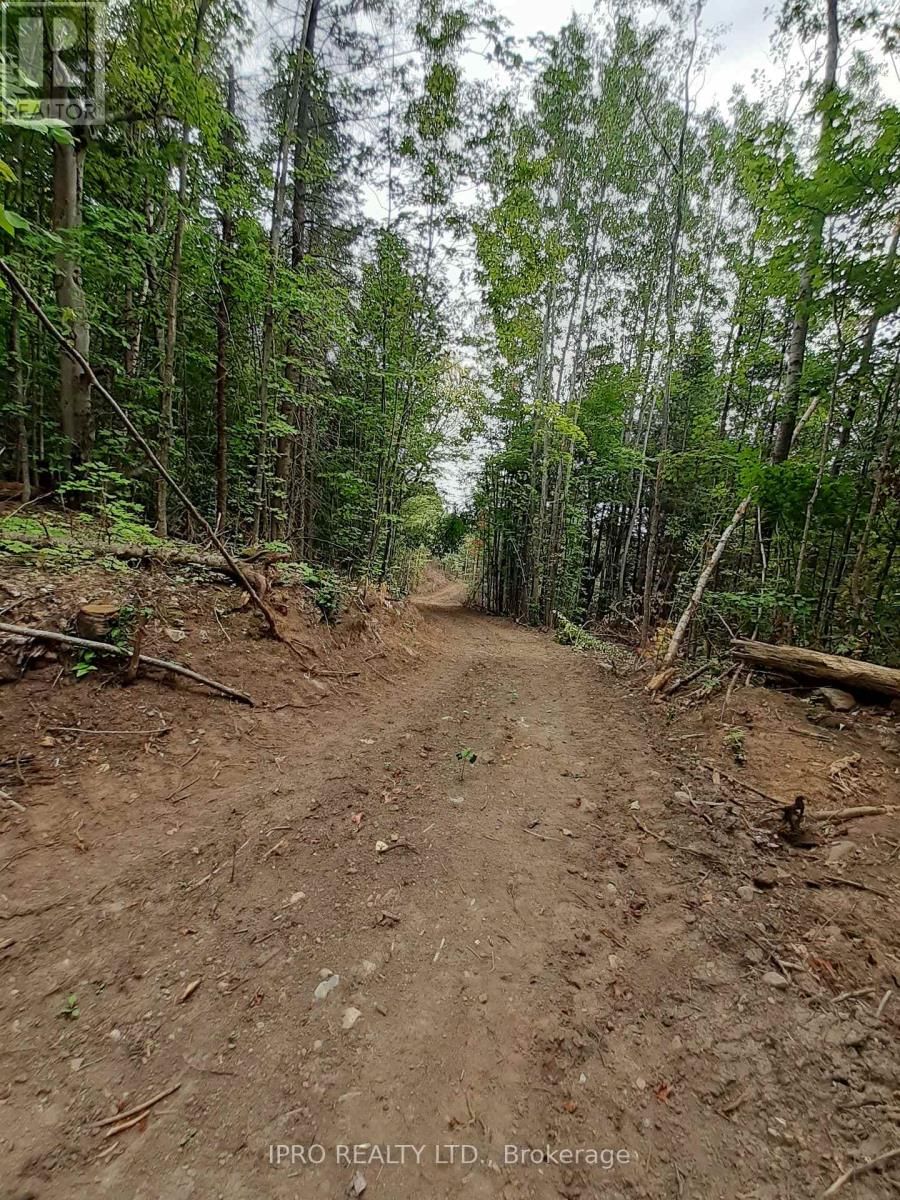 6447 OPEONGO ROAD Image 9