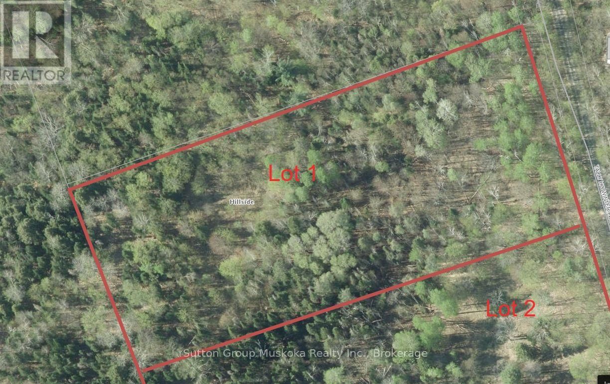 Primary Property View