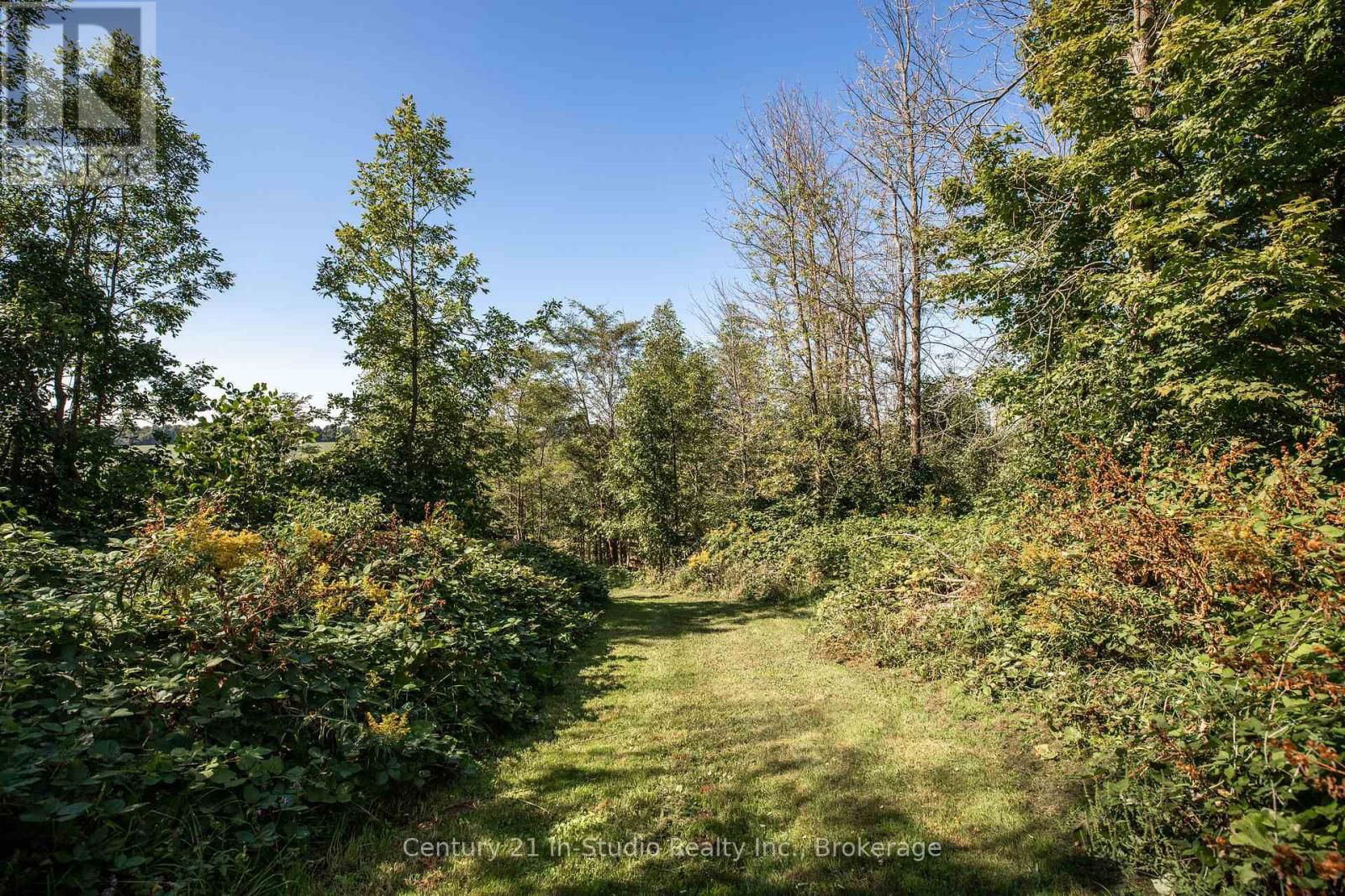 282 ELSINORE ROAD Image 15