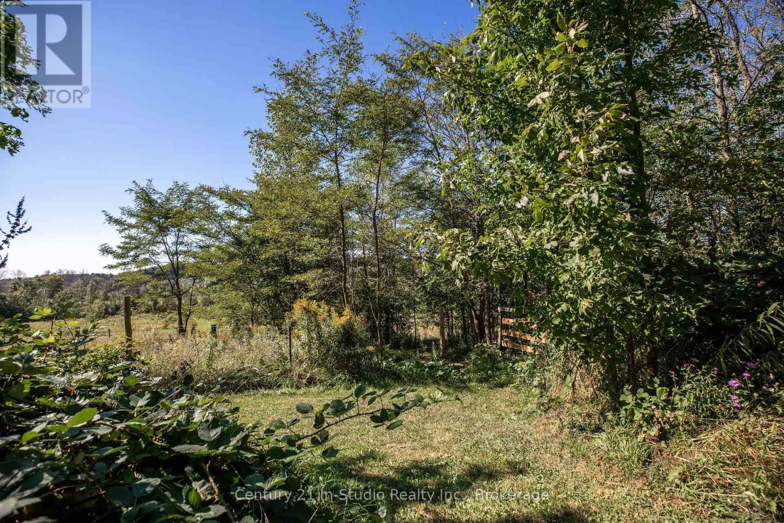 282 ELSINORE ROAD Image 16