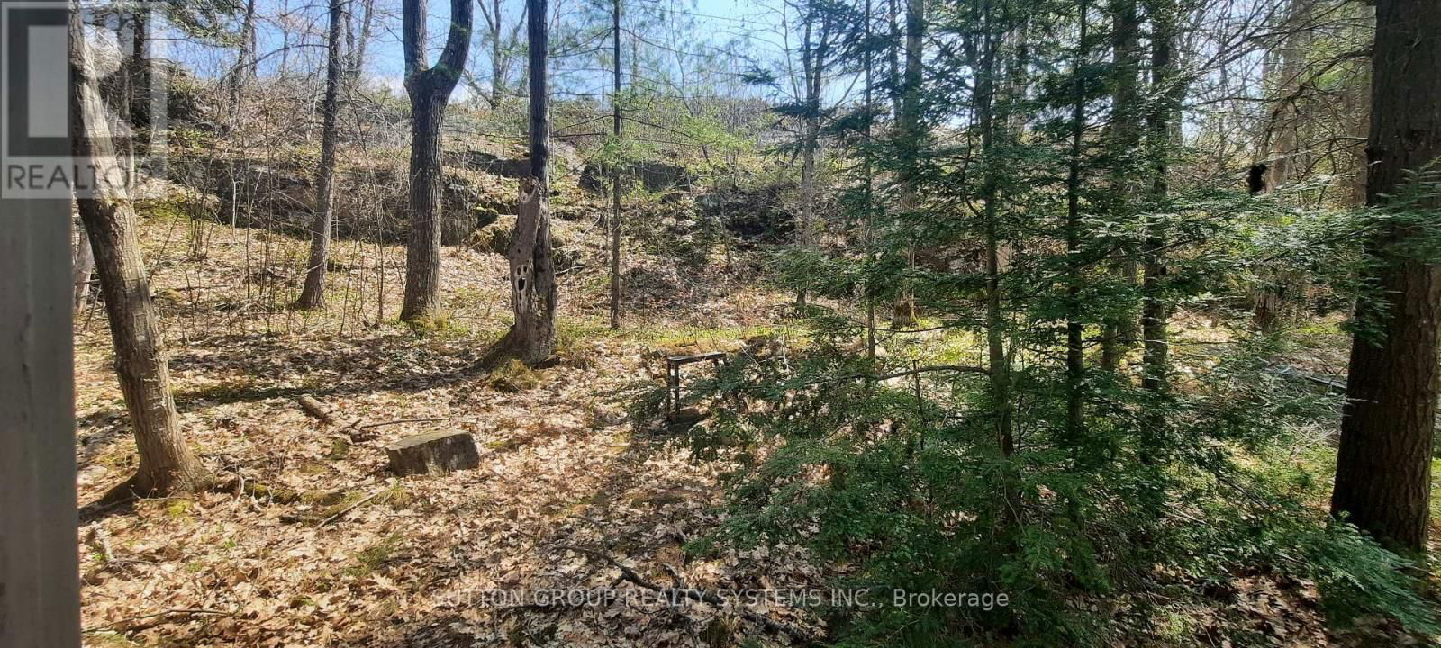 55 HEALEY LAKE WATER Image 34