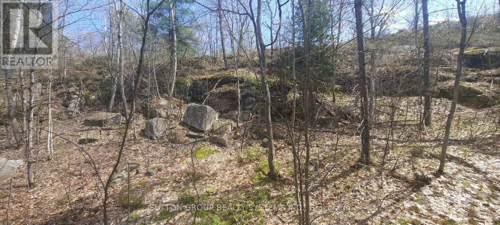 55 HEALEY LAKE WATER Image 8