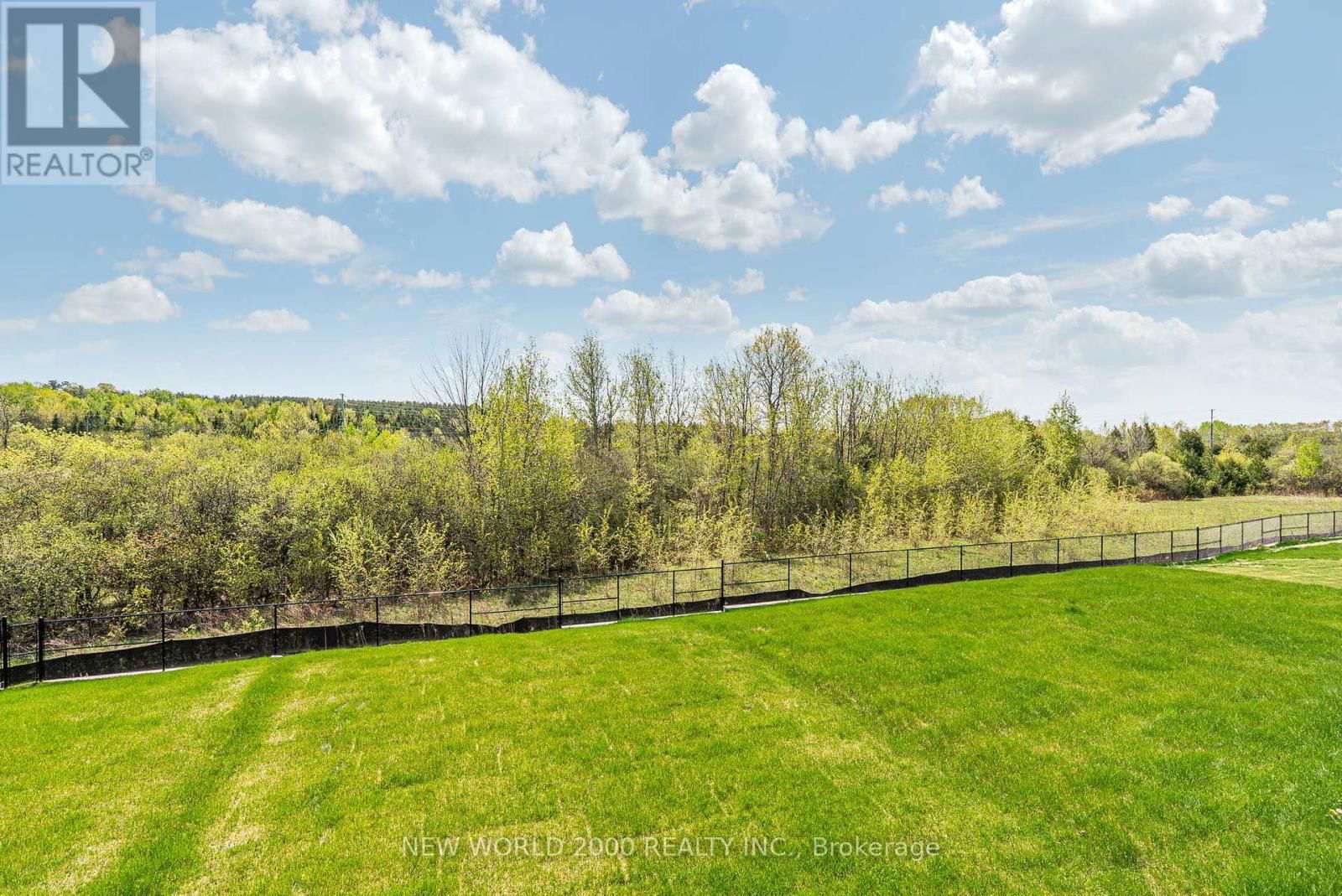 492 TREVOR STREET Image 37