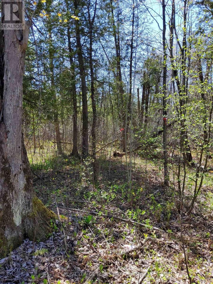 0 TOTEM RANCH ROAD Image 11