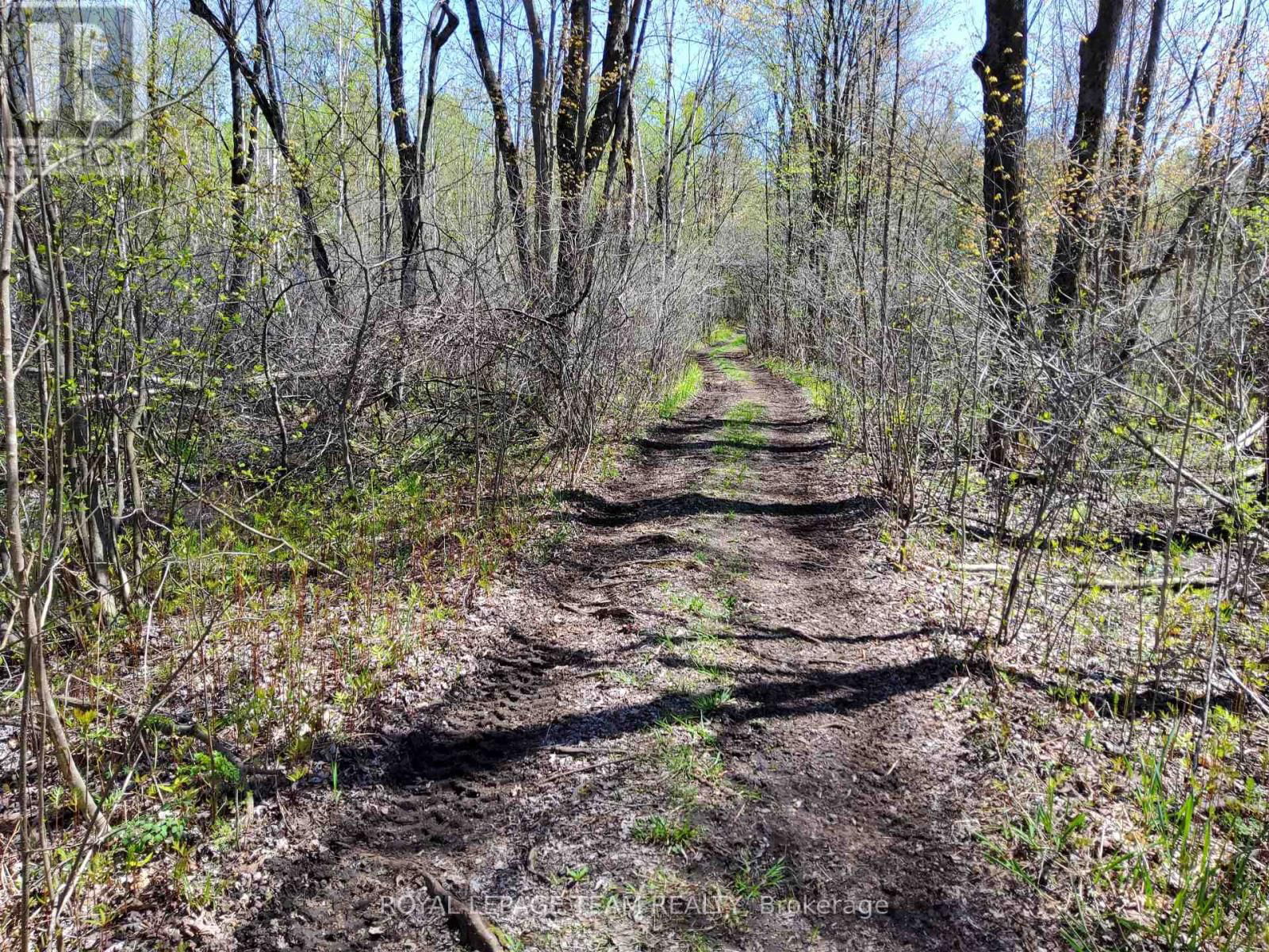 0 TOTEM RANCH ROAD Image 6