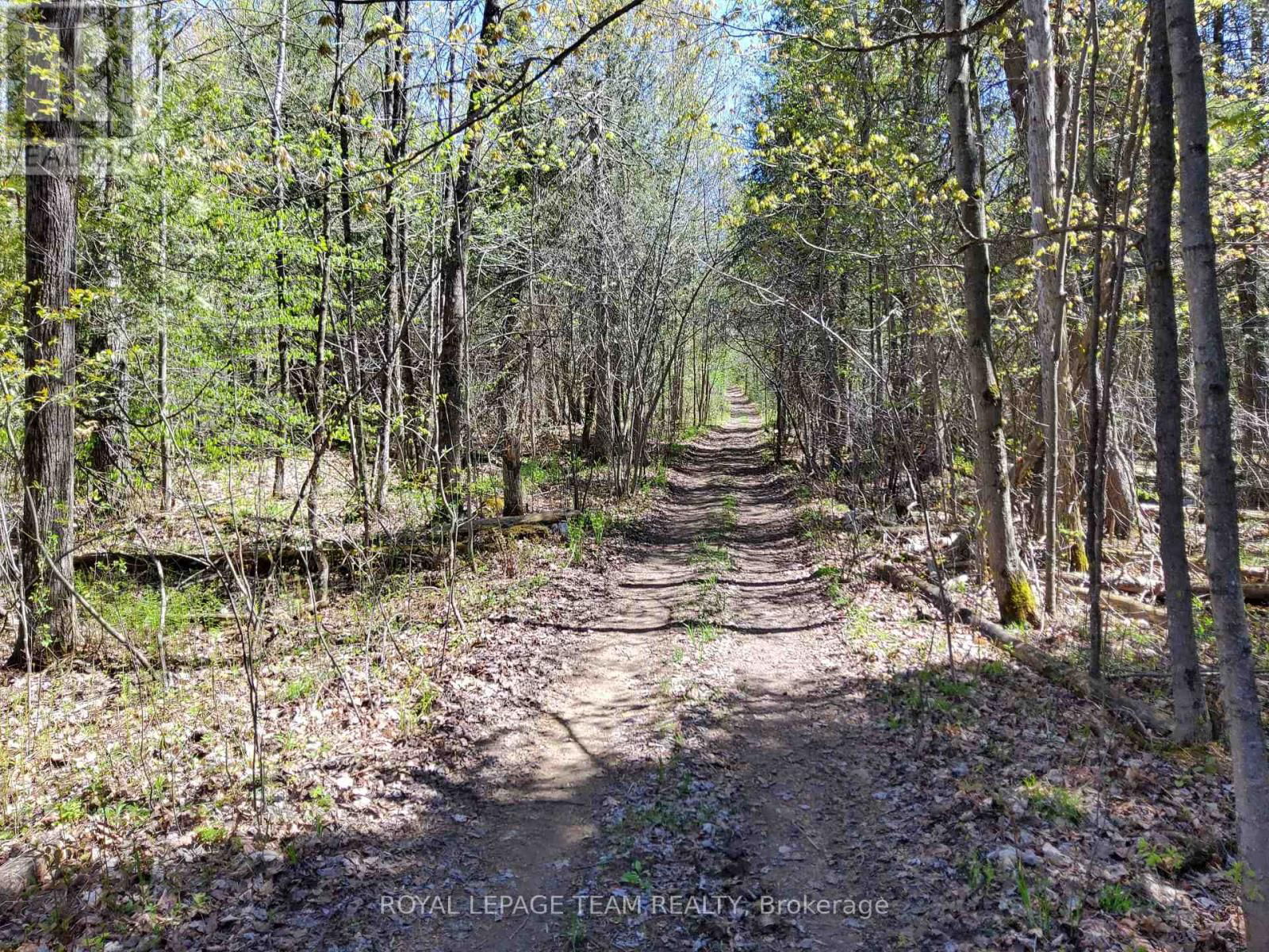 0 TOTEM RANCH ROAD Image 7
