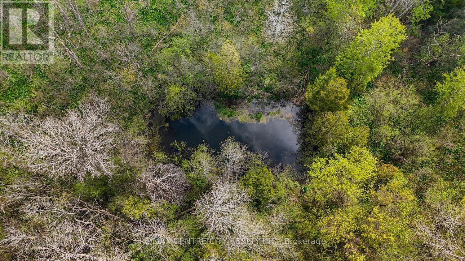 20938 CHERRY HILL ROAD Image 12