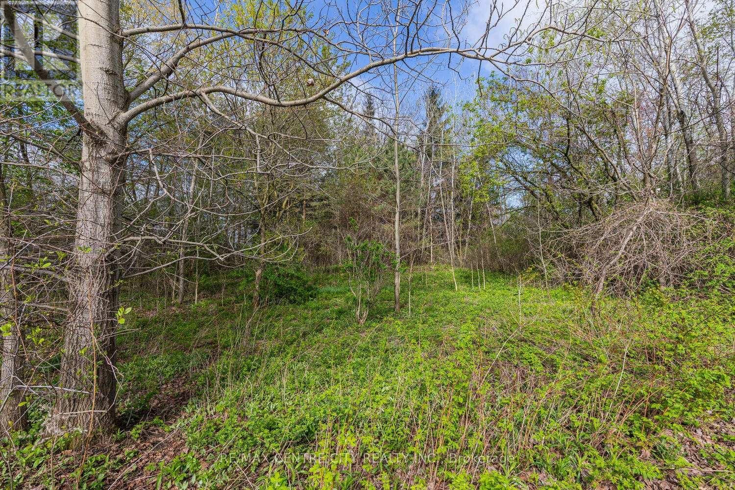 20938 CHERRY HILL ROAD Image 13