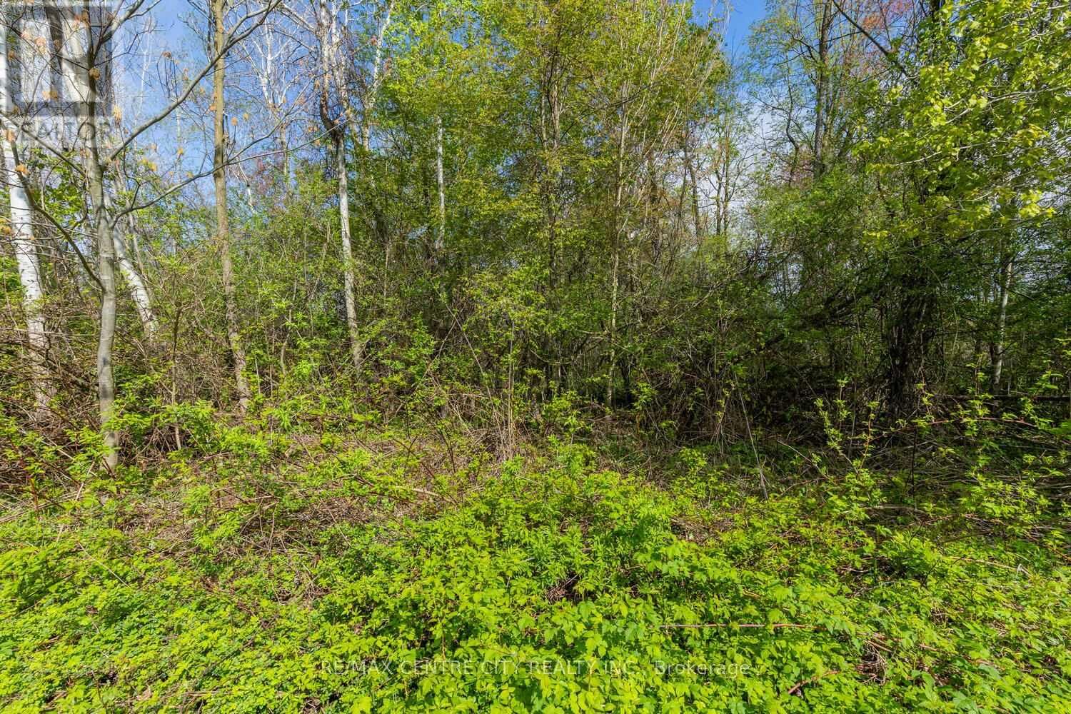 20938 CHERRY HILL ROAD Image 14