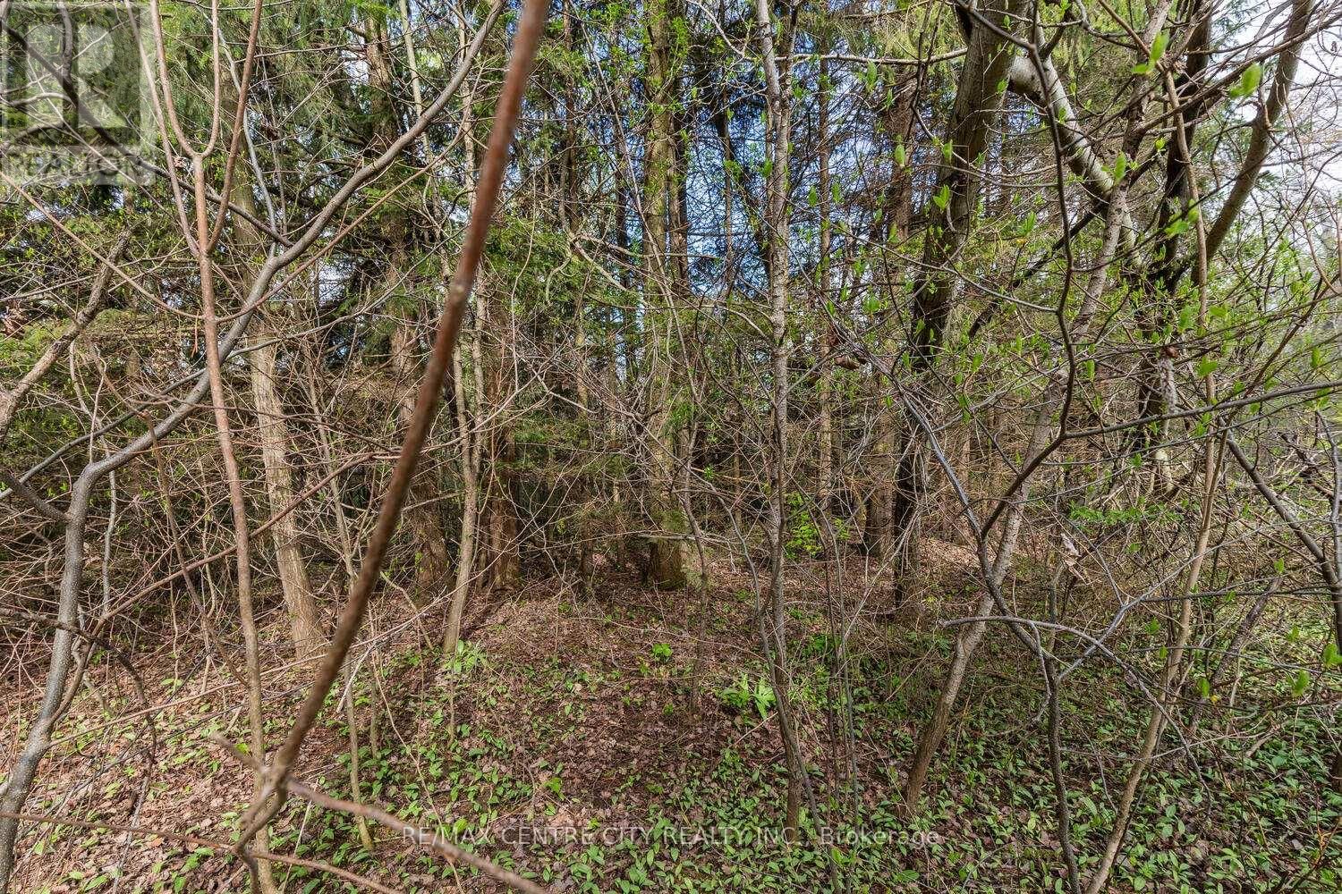 20938 CHERRY HILL ROAD Image 15