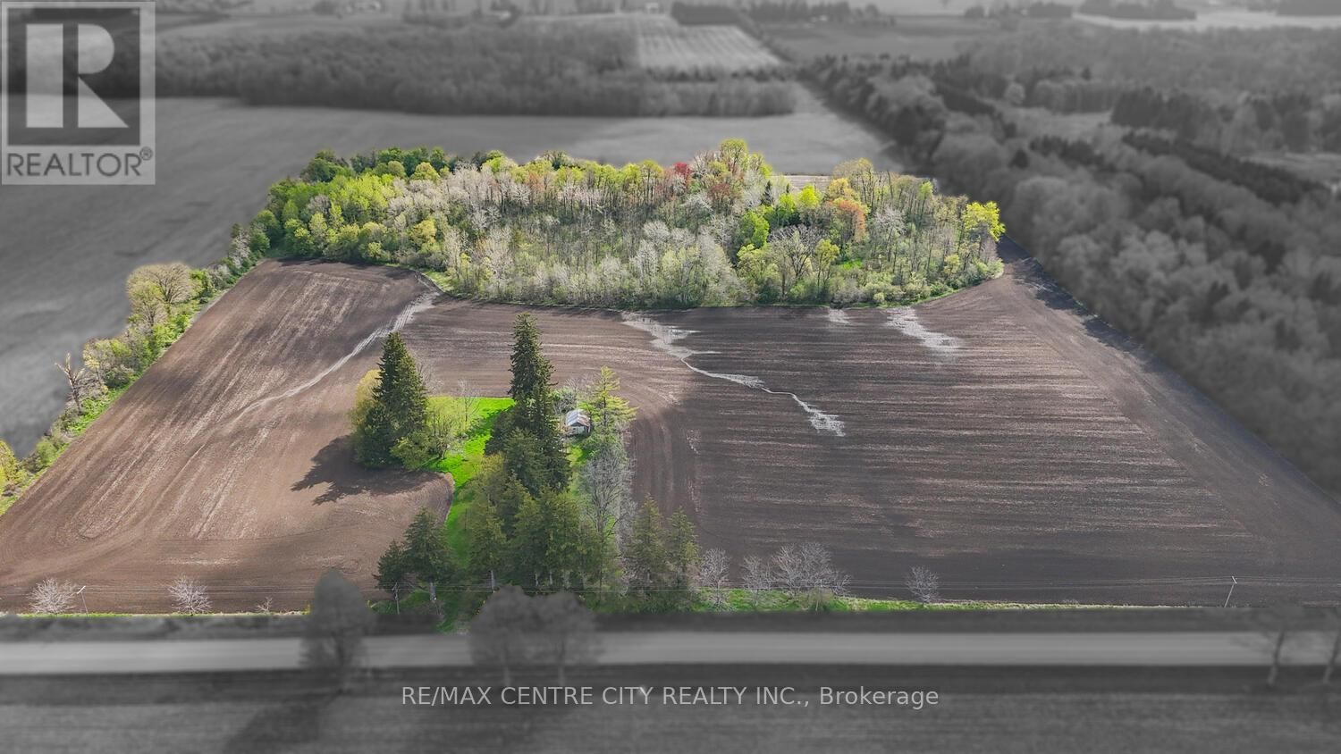 20938 CHERRY HILL ROAD Image 3