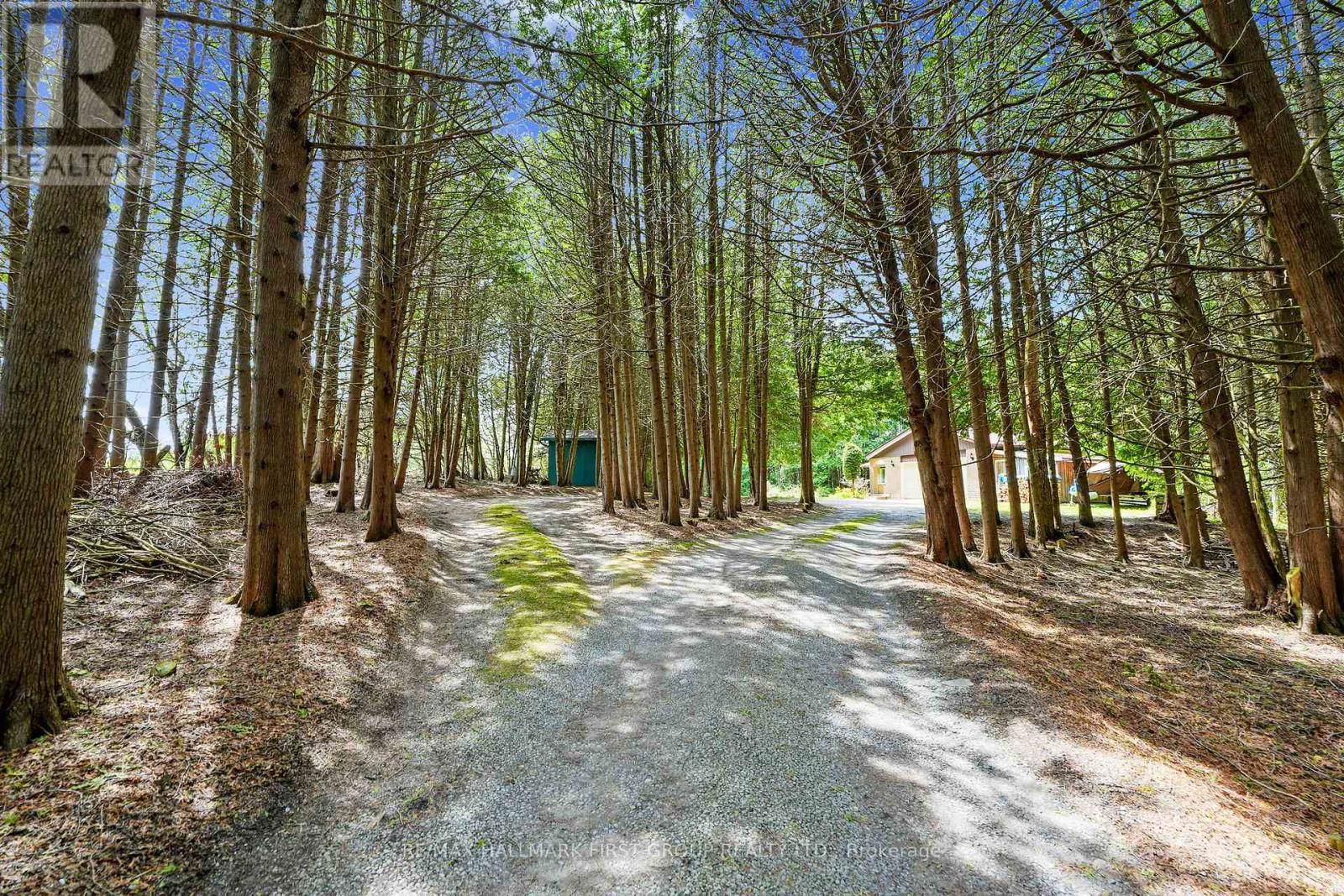 6200 CAMPBELL ROAD Image 43
