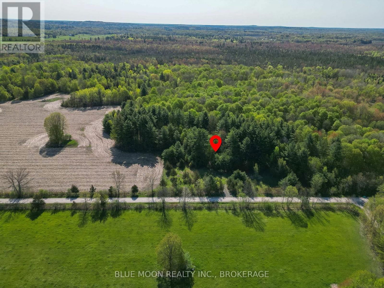 Primary Property View