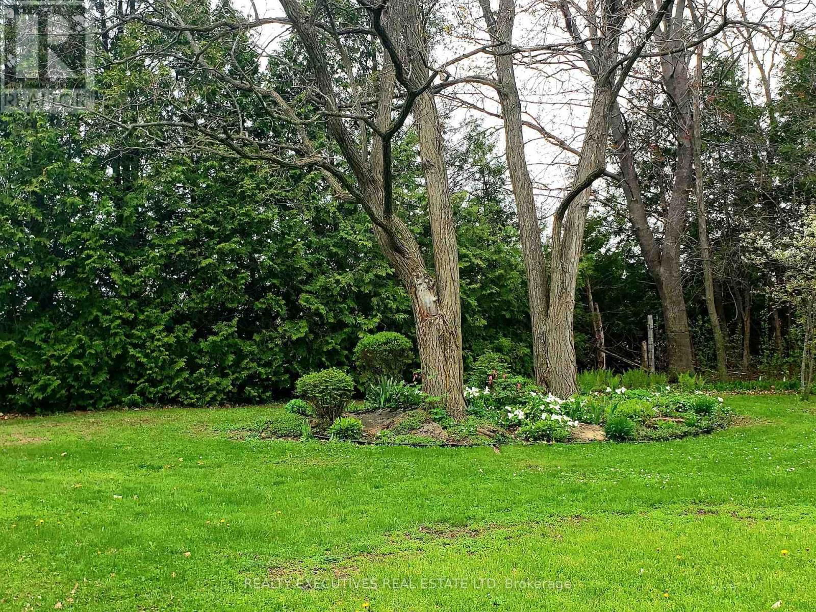 7 B1 ROAD Image 13