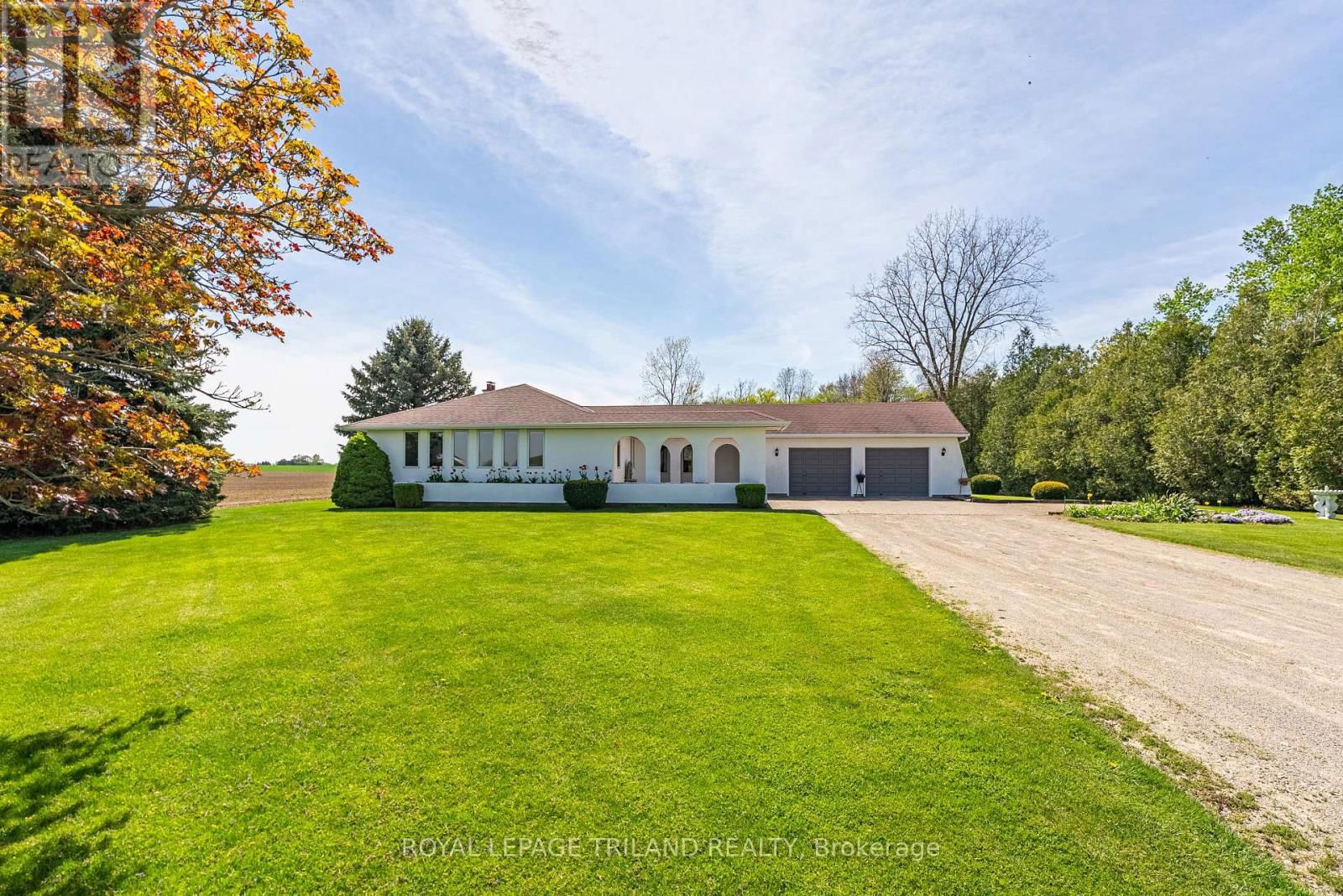 15295 DORCHESTER ROAD Image 5
