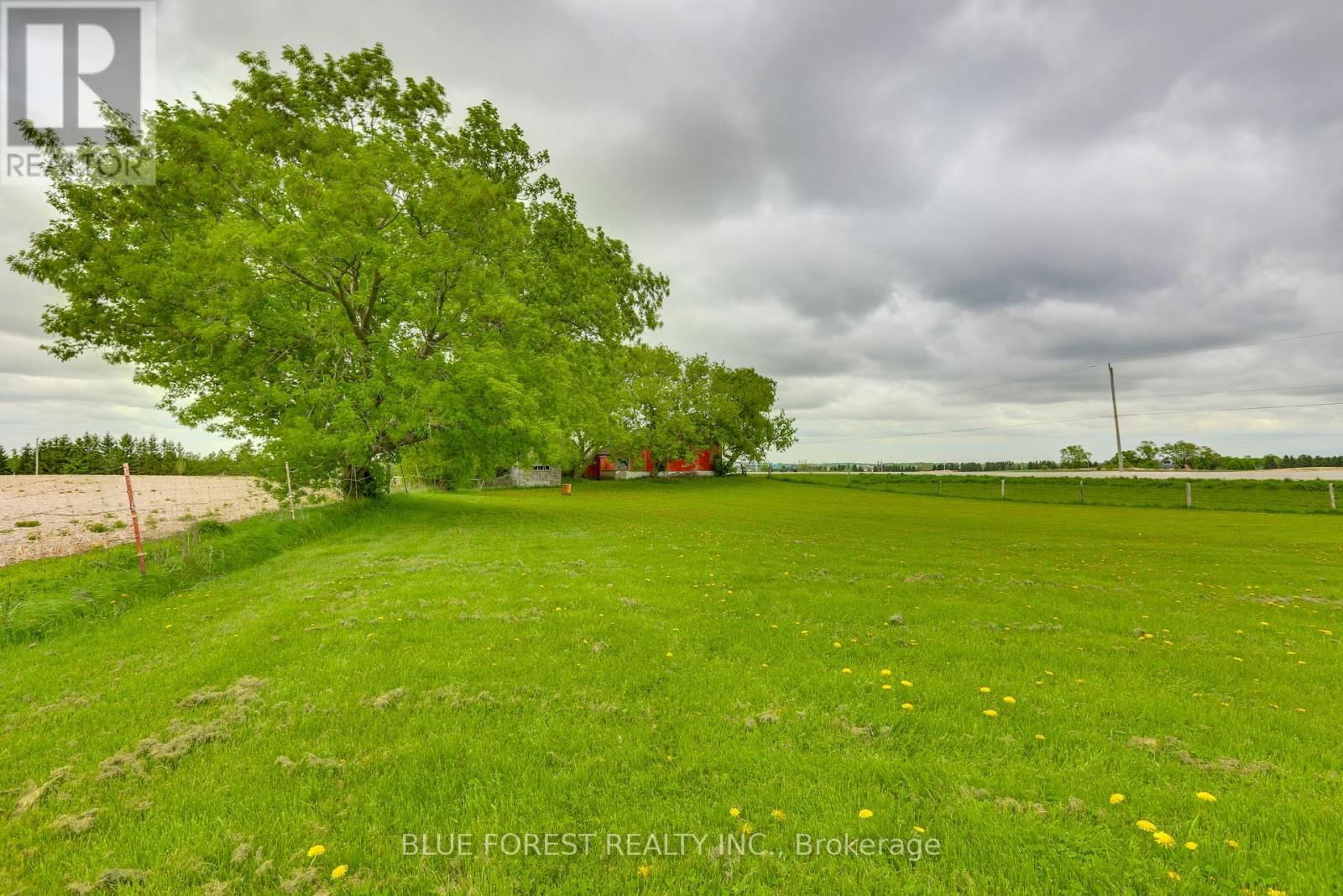 13133 BELMONT ROAD Image 10