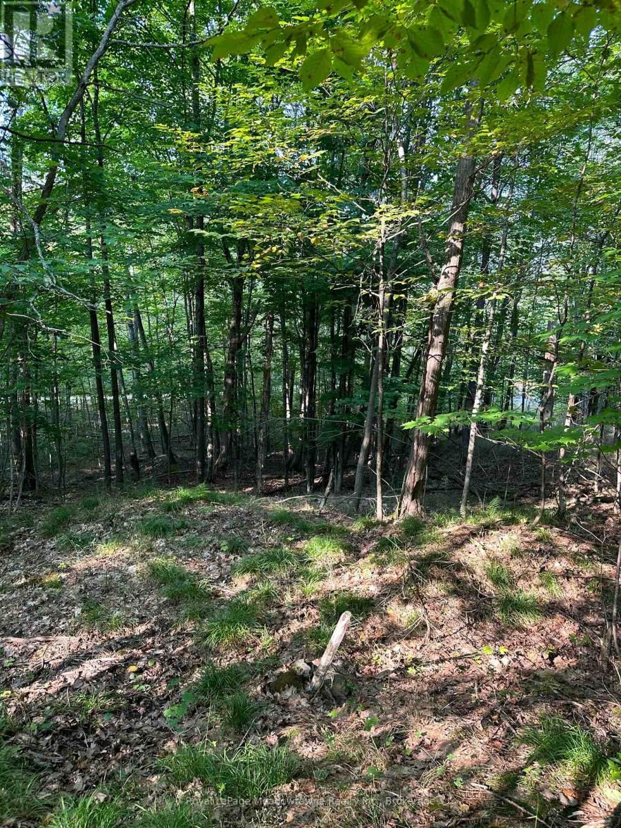 1000 ISLAND PARK ROAD Image 17