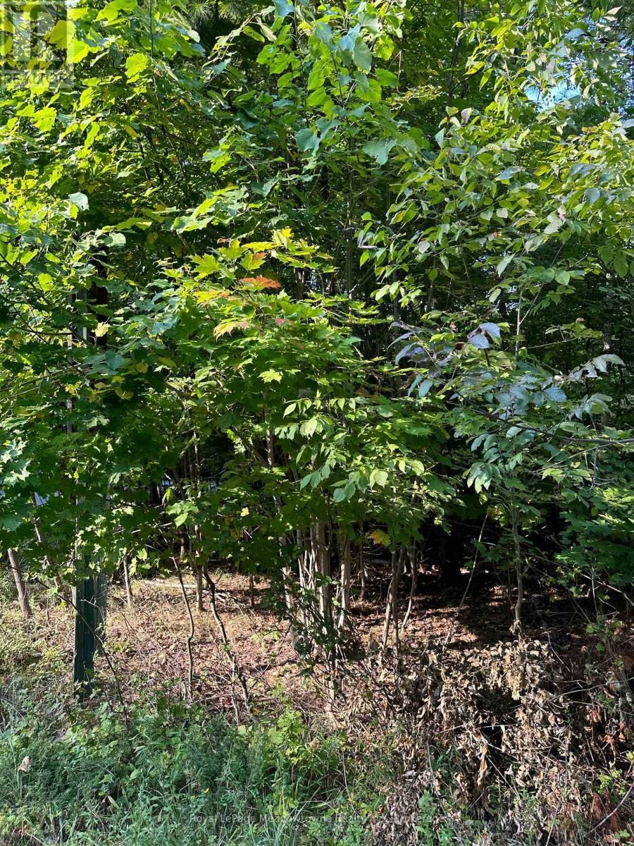 1000 ISLAND PARK ROAD Image 18