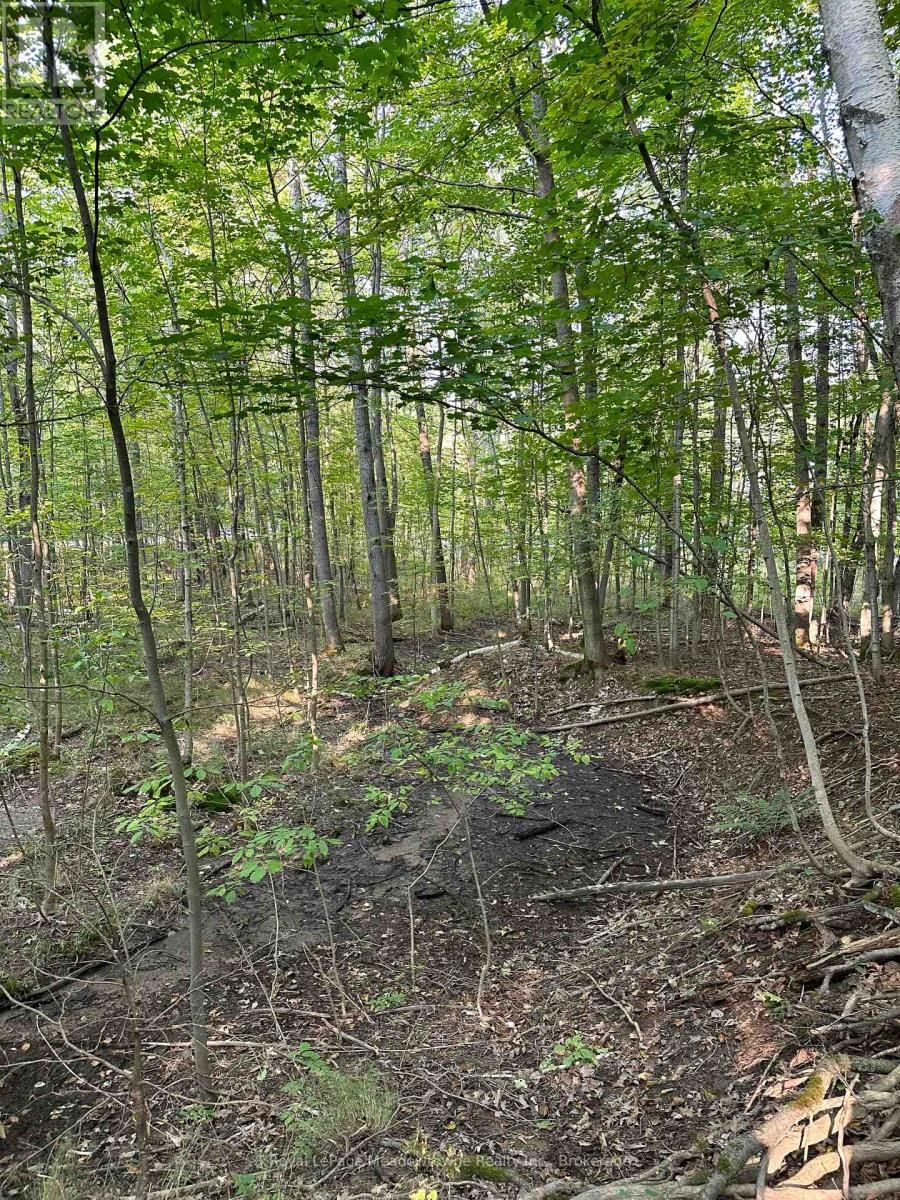 1000 ISLAND PARK ROAD Image 9