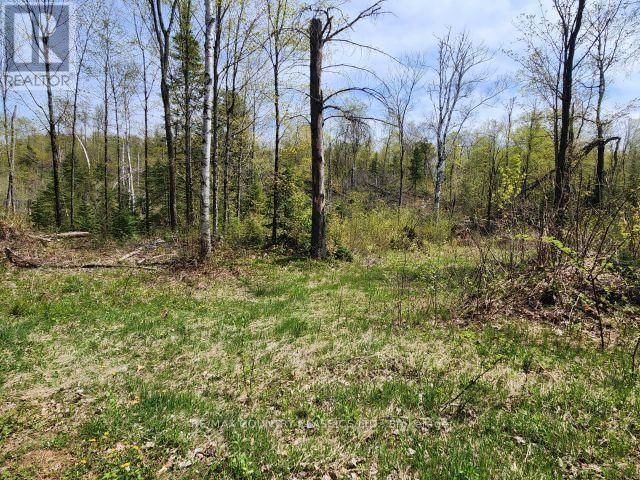 2910 WESLEMKOON LAKE ROAD Image 16