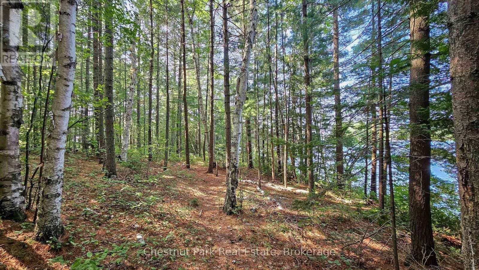 142 CHURCHILL GARDEN ROAD Image 36