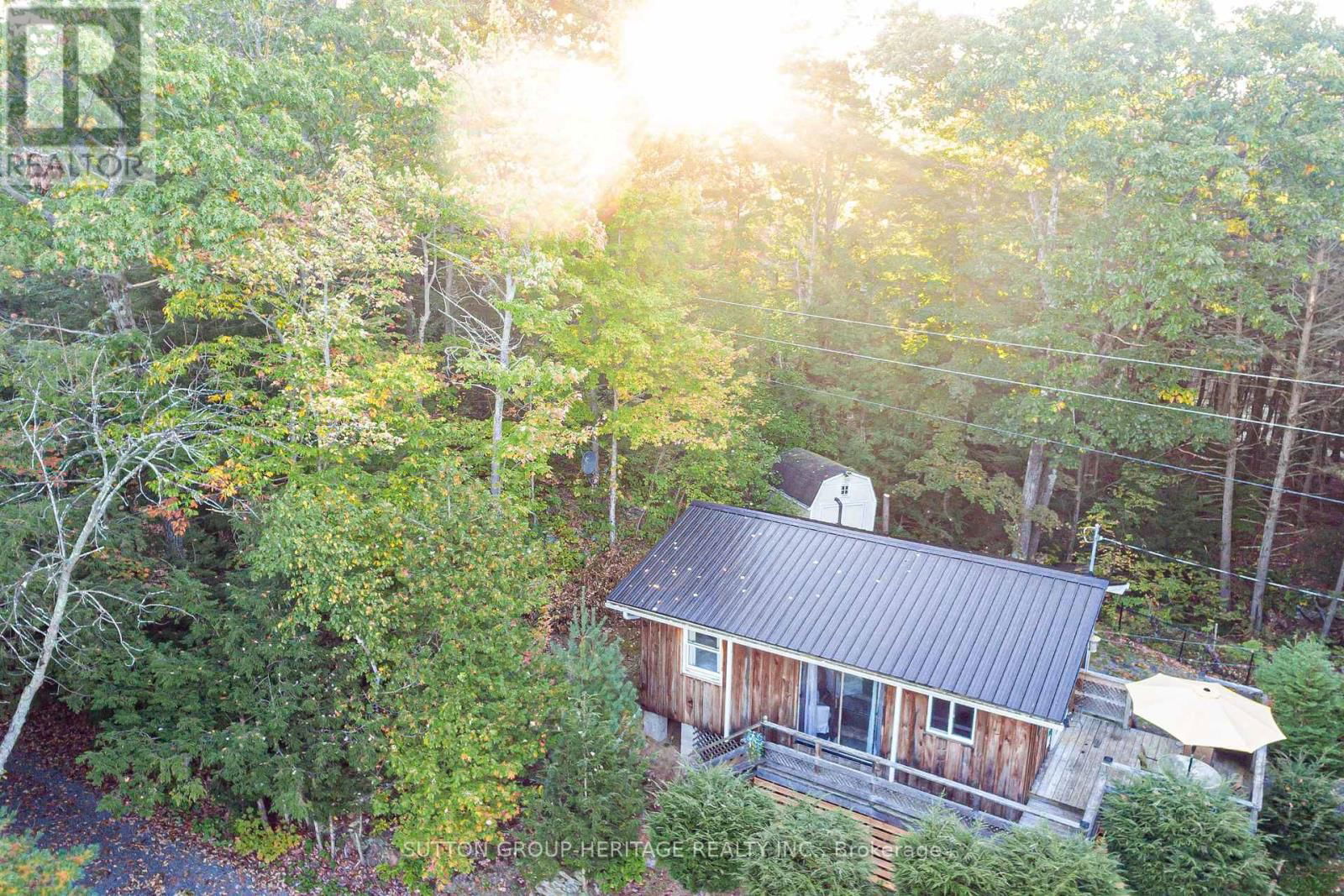 250 YOUNGE LANE Image 39