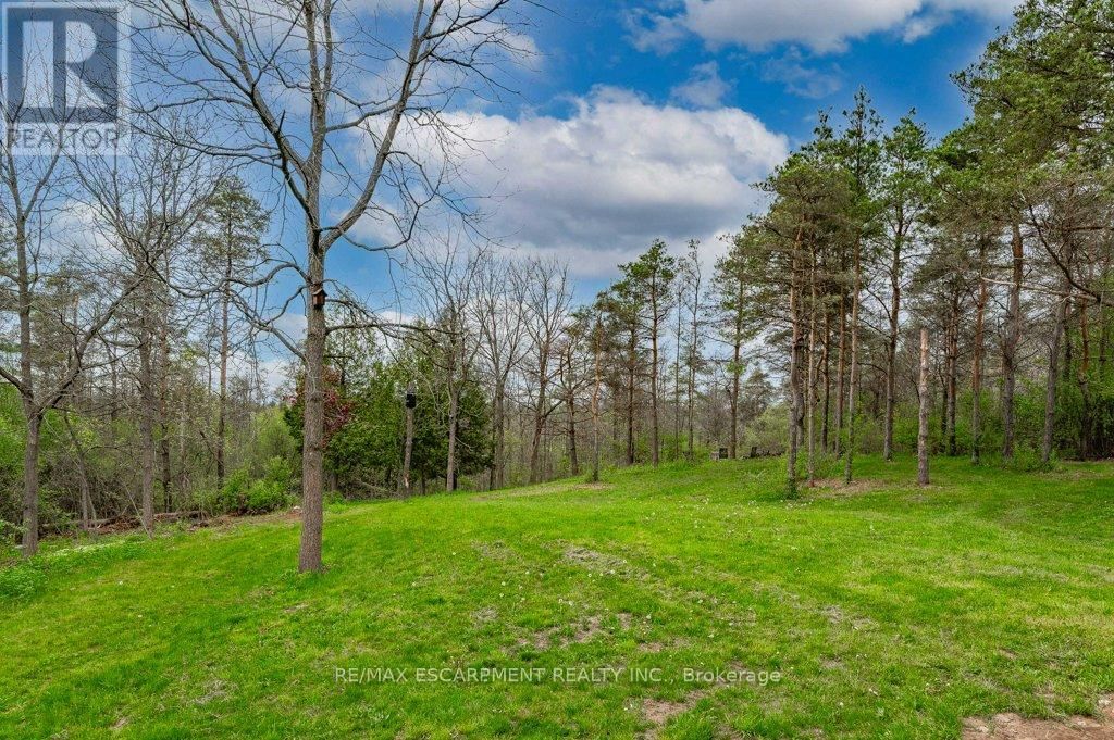 1040 CLYDE ROAD Image 46