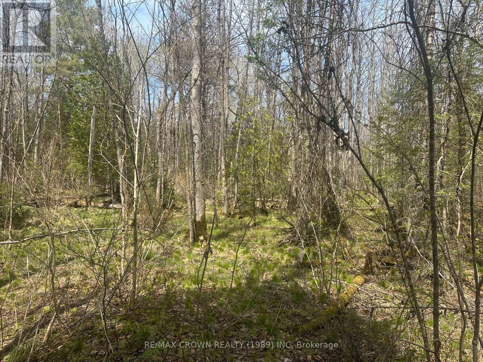 LT 17 CON 13 RICHARDS ROAD Image 13