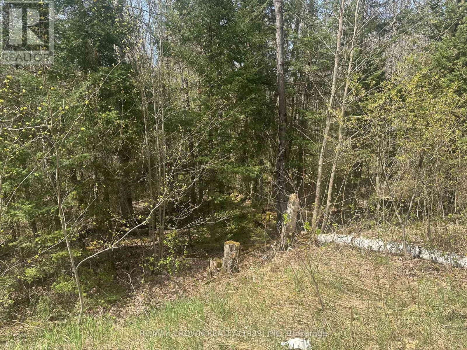 LT 17 CON 13 RICHARDS ROAD Image 15