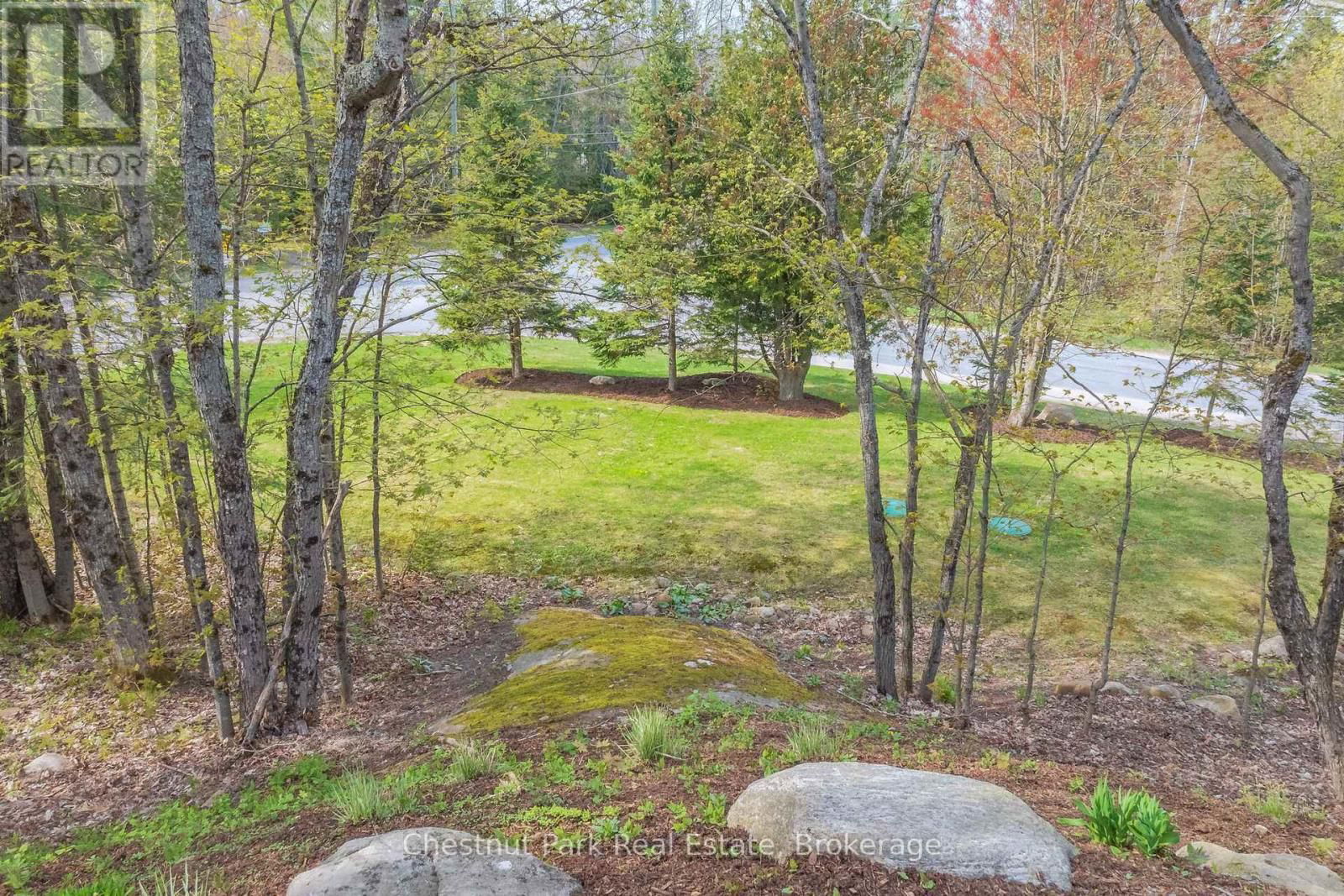 1205 OLD MUSKOKA ROAD Image 37
