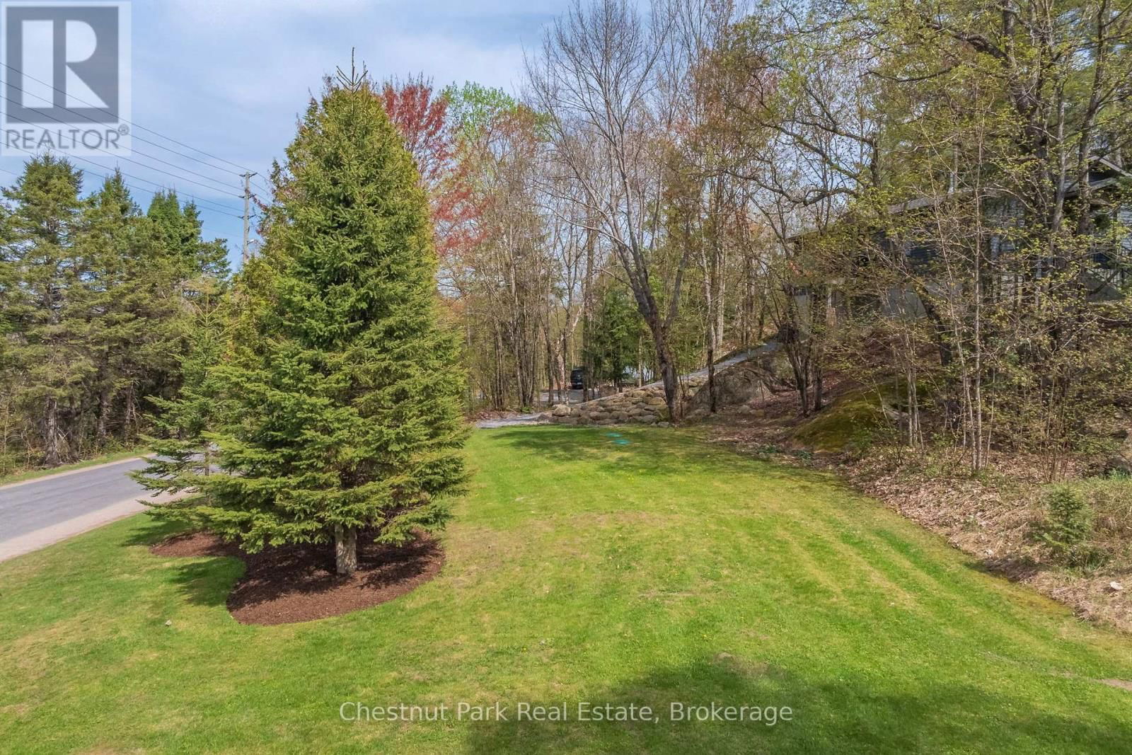 1205 OLD MUSKOKA ROAD Image 38