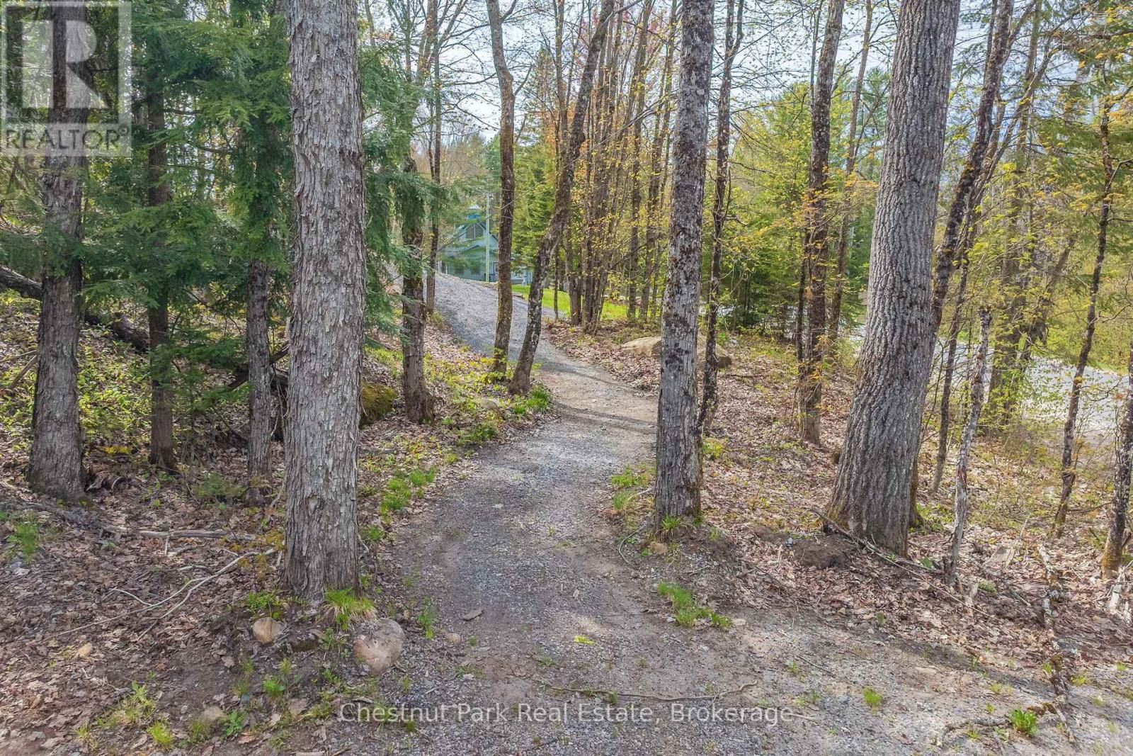 1205 OLD MUSKOKA ROAD Image 45