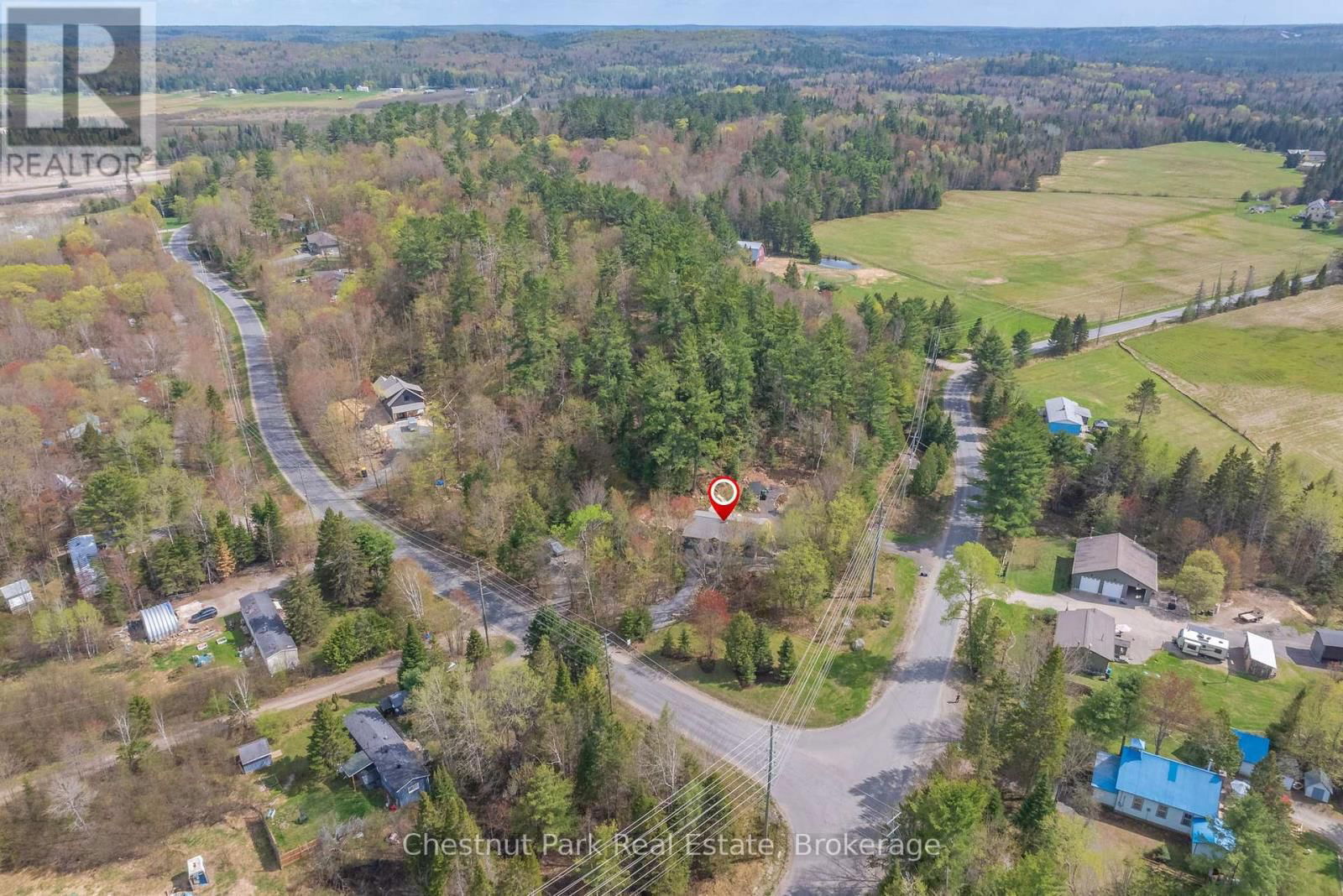 1205 OLD MUSKOKA ROAD Image 7