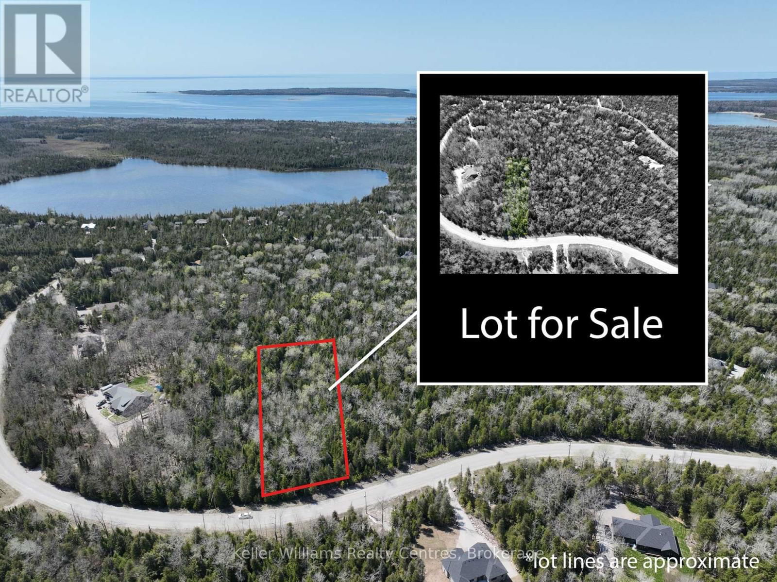Primary Property View