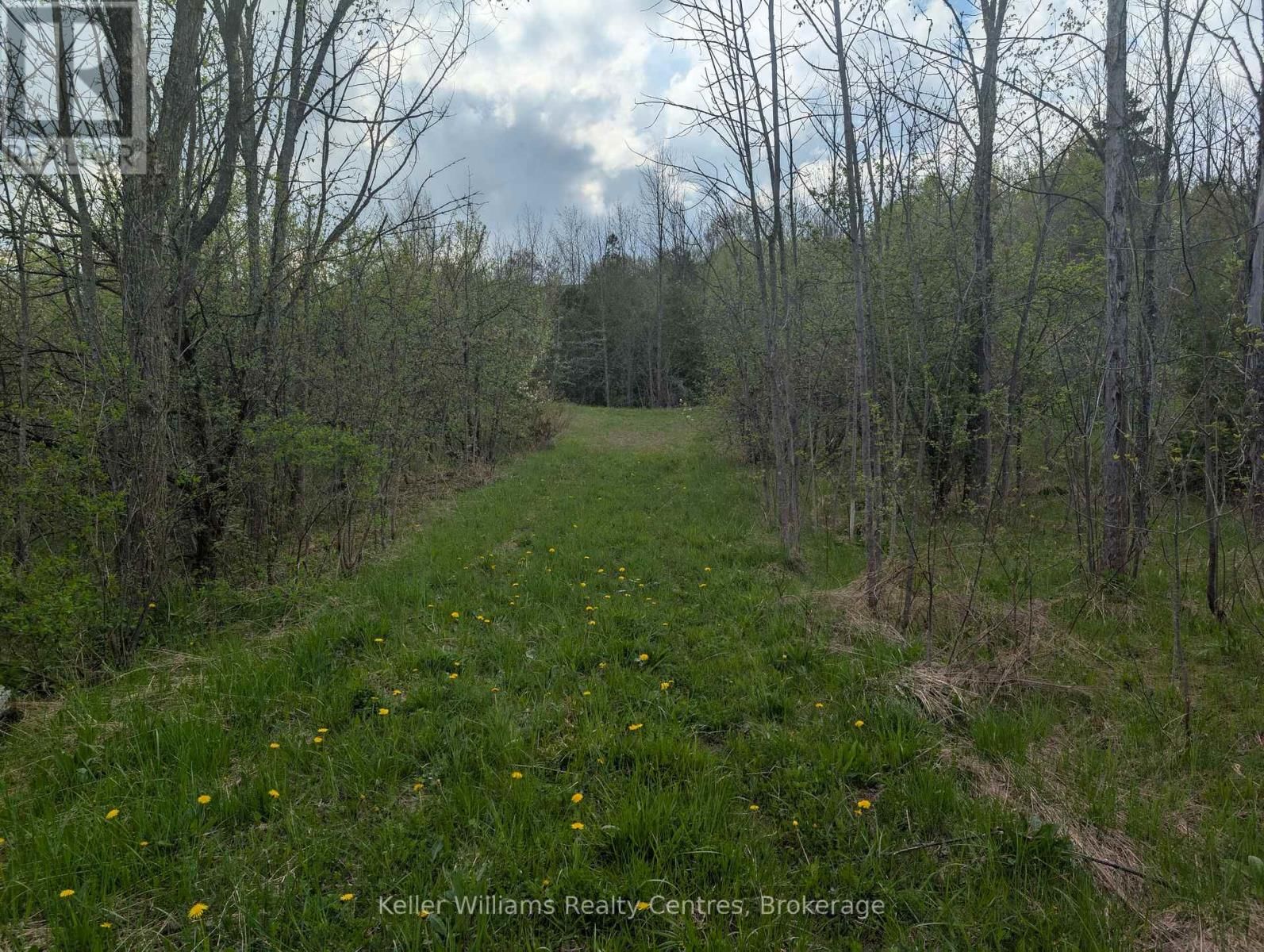 454 BALMY BEACH ROAD Image 7