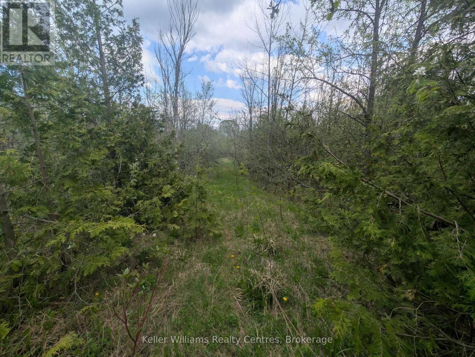 454 BALMY BEACH ROAD Image 8