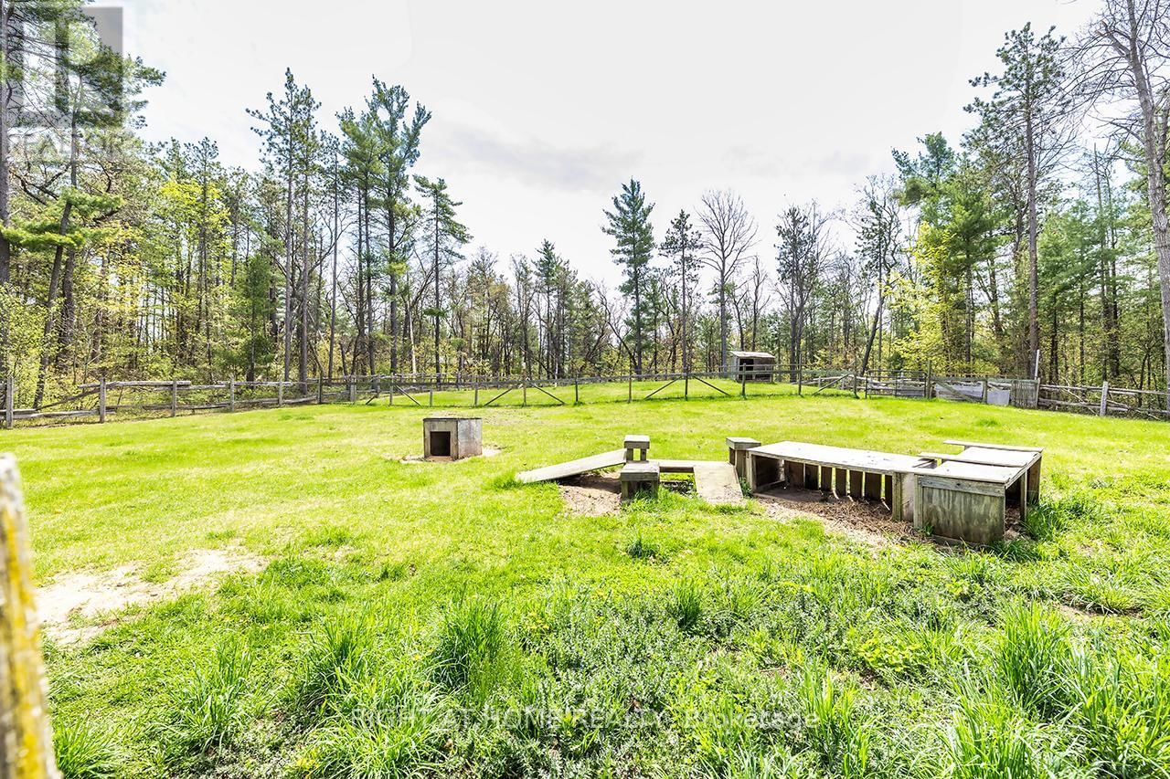 414 PRATT ROAD Image 41