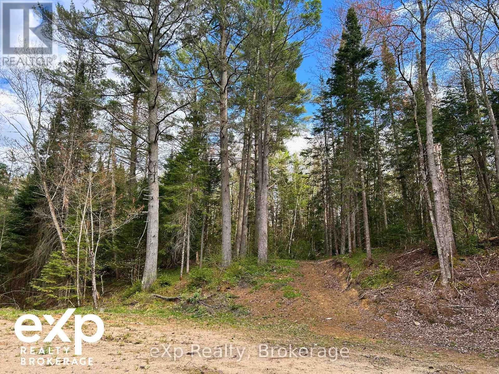 468 BALSAM CHUTES ROAD Image 2